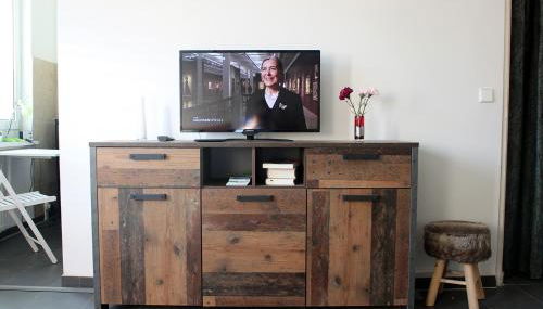 FeWo Leipziger Neuseenland - Foto 4