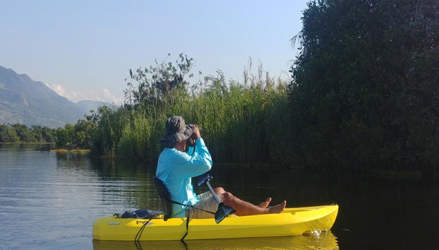Observação de Aves e Vida Selvagem - Tour de Meio Dia - Foto 4