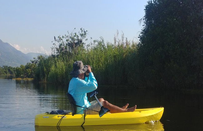 Birdwatching and Wildlife Expedition - Half-Day Tour - Photo 4