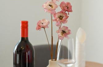 Kuća za odmor MEDENA - Foto 39