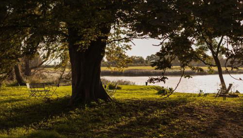 Gutshaus Üselitz - Foto 4, Garden