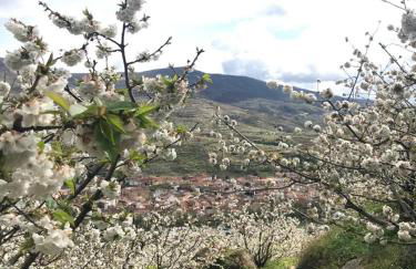 Casa Rural Las Picotas - Foto 13