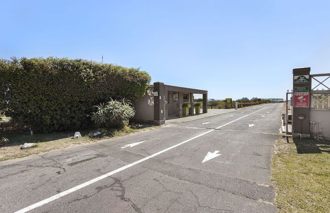 Sand Plover 85 - Foto 38