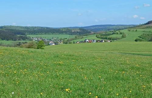 Large Apartment in the Beautiful Sauerland With Garden, Patio and Sauna - Foto 52