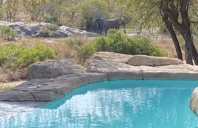 Simbavati River Sands - Photo 22