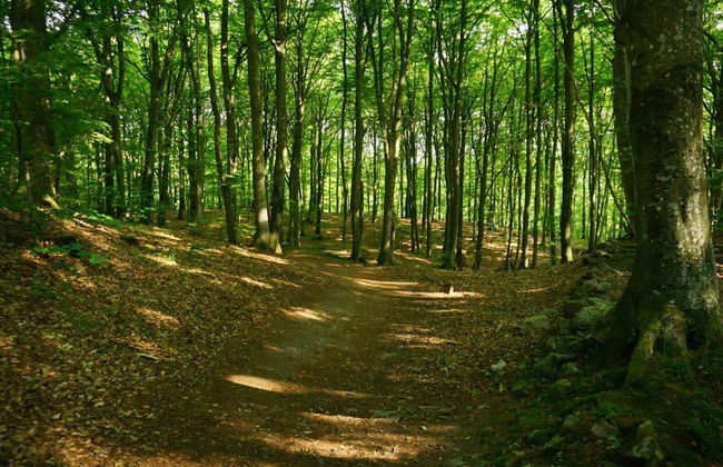 4 Star Holiday Home in Garsnas - Foto 8