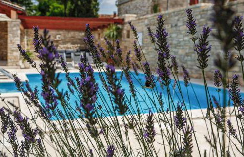 Villa Grandparents - Foto 13