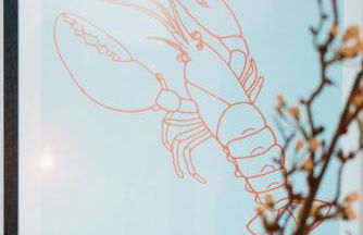 Ferienwohnung KÖÖK Heimathafen - Modern, Balkon, Strandnah - Photo 19