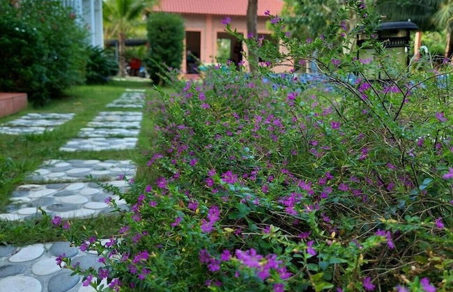 An An Boutique Homestay - Foto 53