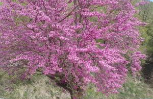 Apartamentos Viña Olivan - Photo 67