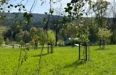 Künstlerwohnung - Foto 6