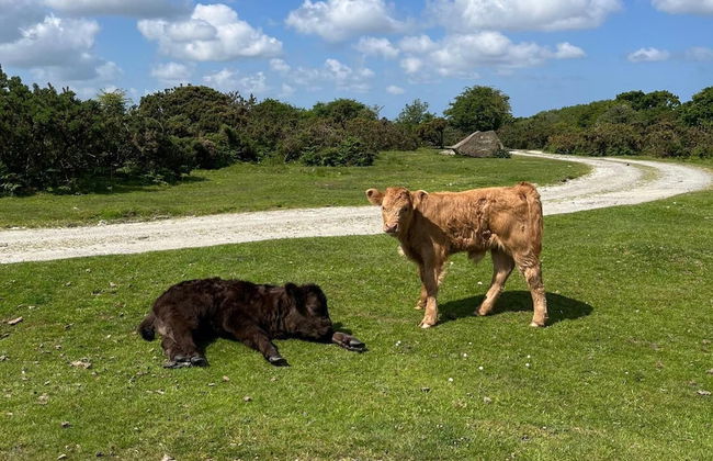 Farmhouse Annexe With Home-cooked Breakfast - Foto 5