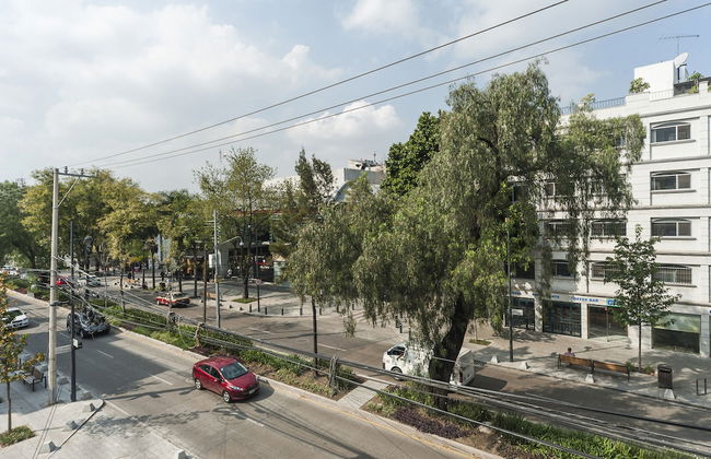 Lovely Terraza Masaryk - Foto 43