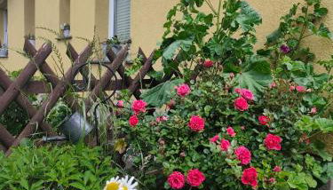 Tu hus bei Faber - Fewo Milo - - Foto 5