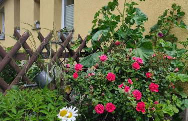 Tu hus bei Faber - Fewo Milo - - Foto 5