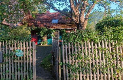 Ferienhaus Eifelheide - Photo 8