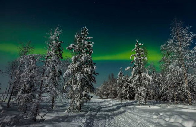 Northern Lights Husky Sleigh Ride - Photo 6