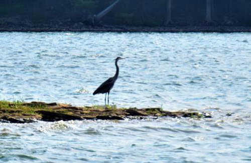 Serene Retreat in Hermitage - Foto 34