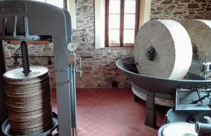 Agriturismo Luggiano - Foto 42