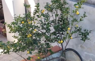 Casa Valvo Lido di Noto - Foto 47