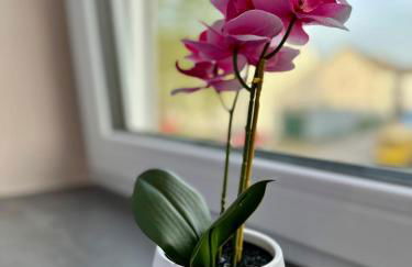 Modernes Apartment am Dreiländereck - Foto 6