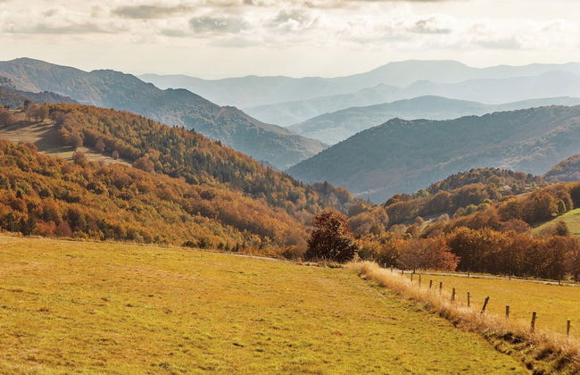 Charming Farmhouse in Cros-de-georand With Swimming Pool - Photo 72