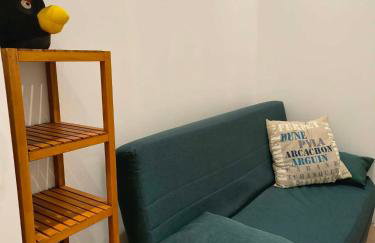Hang'Ares, espace unique entre Bassin et Océan - Foto 15