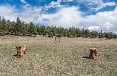 Cabin in Colorado National Forest! - Foto 7