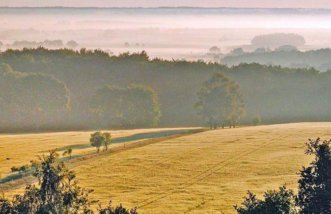 4 Person Holiday Home in Veberod-by Traum - Foto 17