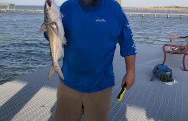 Waterfront Private Pier Pleasure Island Lake House - Foto 30