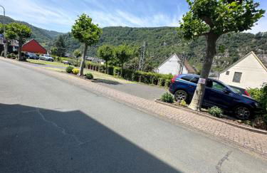 Blick auf den Rhein - Foto 50