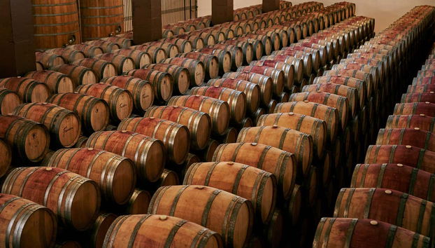 Contemplando os inúmeros barris de vinho da adega