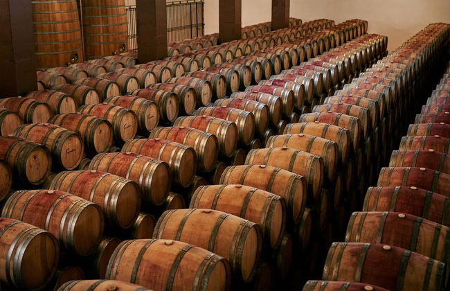 Visita a las bodegas Fariña - Foto 3