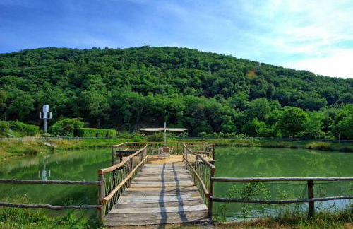 Agriturismo Fattoria Celle - Photo 16