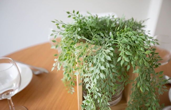 Elegant Stylish Living@mooneeponds Wifi/parking - Foto 18