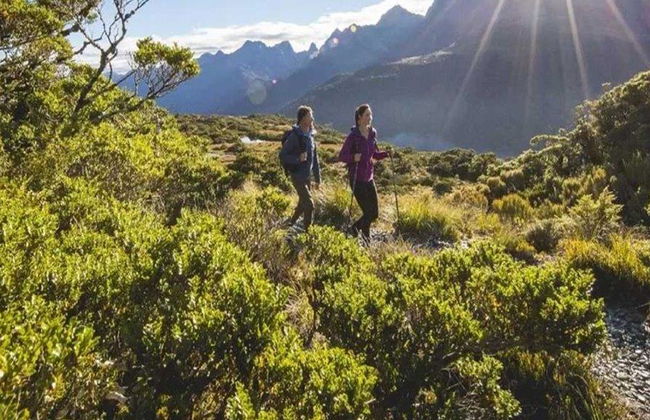 Der Routeburn Track - Geführter Ganztages-Wanderung - Foto 1
