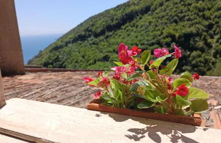 Albori Rooftop Suite Vietri sul Mare Costiera Amalfitana - Foto 32