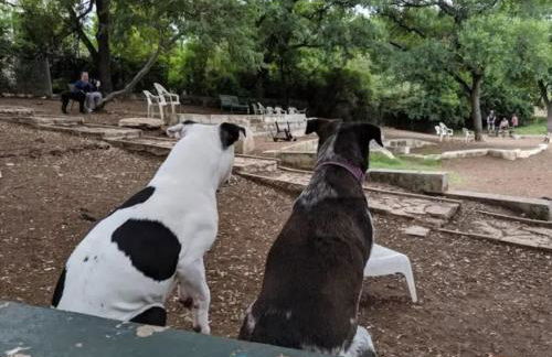 Steps to Downtown- Cozy studio - Quiet neighborhood - Foto 20