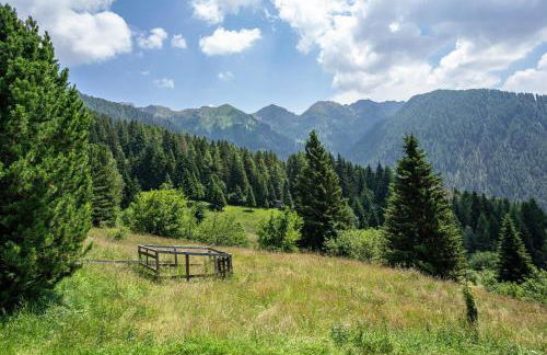 Baita Naibiz - Foto 38