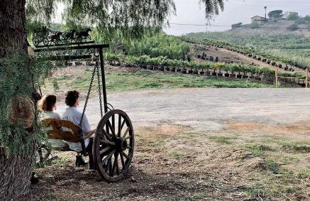 Artsy Airstream for a California Glamping Weekend near San Diego - Foto 6