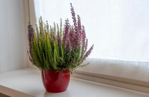 Elegante Bilocale Panoramico Treiso Belvedere Comfort - Foto 20