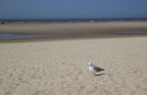 NEU! Ferienwohnung Schäfer Nähe Carolinensiel - Foto 6