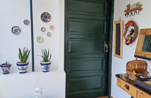 DRAGO 100, quiet and friendly - Foto 18