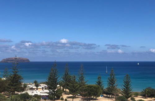 Apartamento Bela Vista - Foto 3