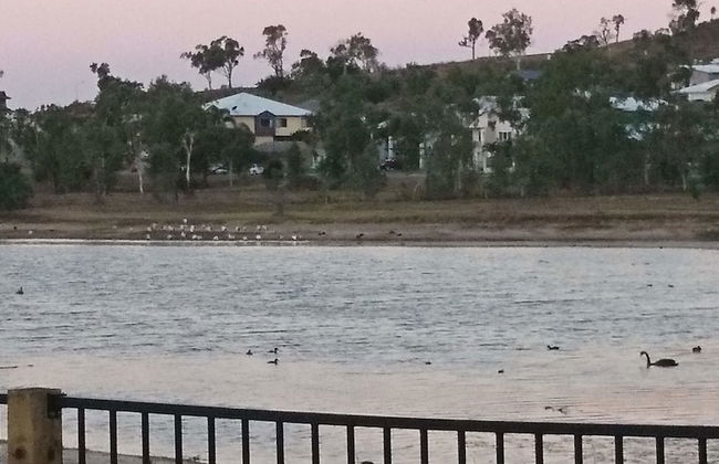 Palm Lakeside - Bowen, Whitsundays Wifi Netflix Private Cool Luxury - Foto 12