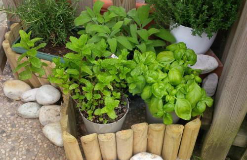 CASA del SOLE APARTMENTS with garden - Foto 8