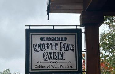 The Knotty Pine Cabin at Cabins of Wolf Pen Gap - Foto 9