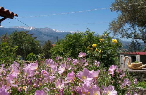 Villa Eternity - Foto 8