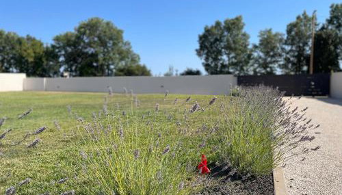 Villa Lydia - Foto 4, Garden view