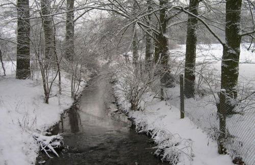 1 Mainblick Brigitte - Foto 15